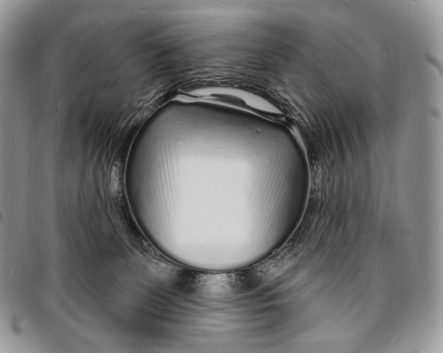 X0000096390131200802141504