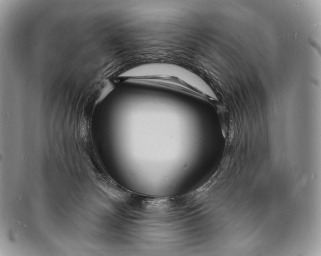 X0000096390132200802141504