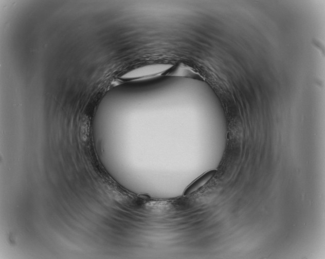 X0000096390133200802141504