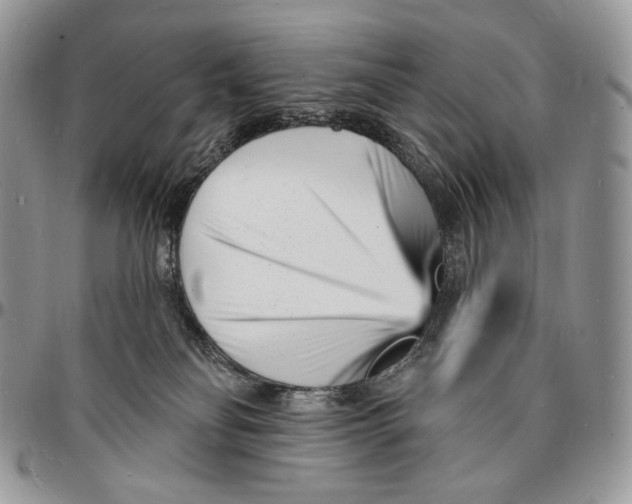 X0000096390134200802141504