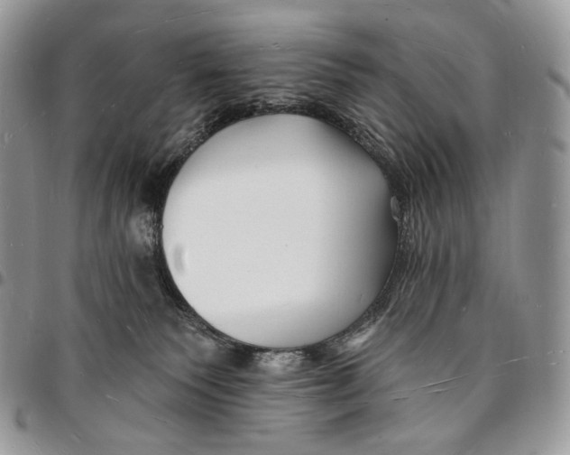 X0000096390135200802141504