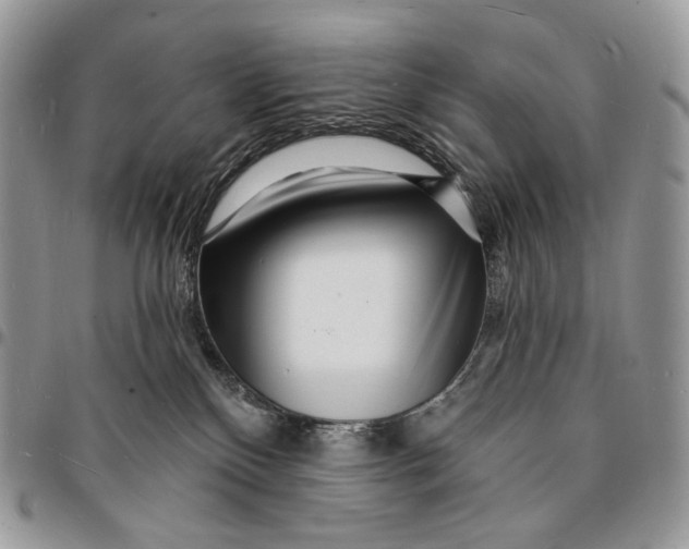 X0000096390136200802141504