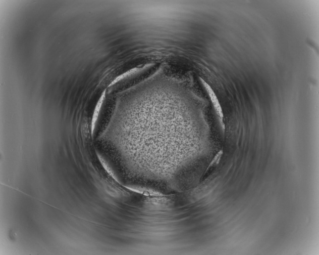 X0000096390137200802141504