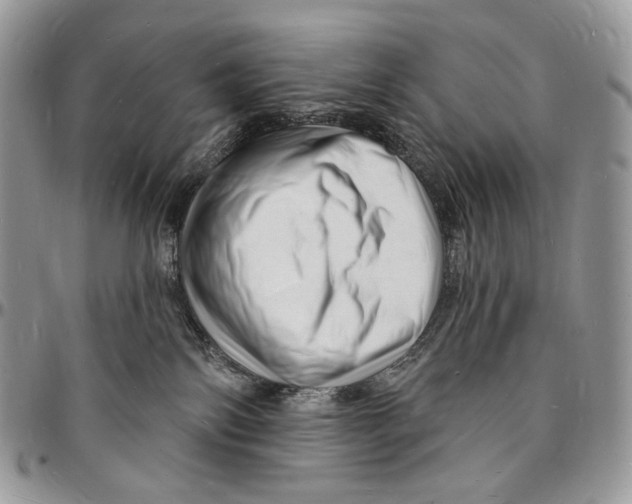 X0000096390138200802141504