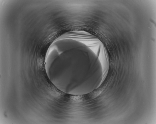 X0000096390139200802141504