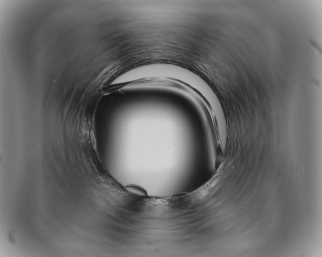 X0000096390140200802141504
