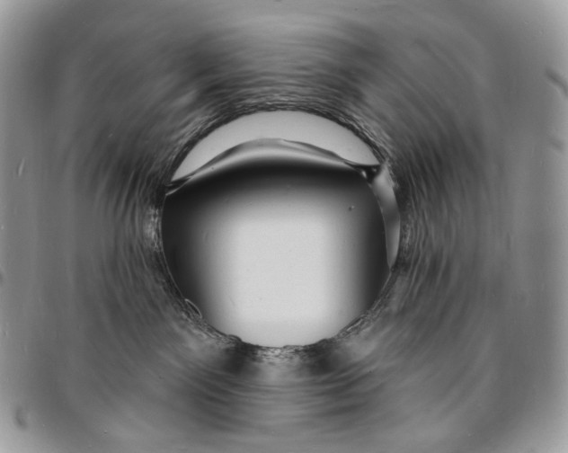 X0000096390141200802141504