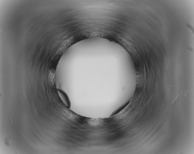 X0000096390142200802141504