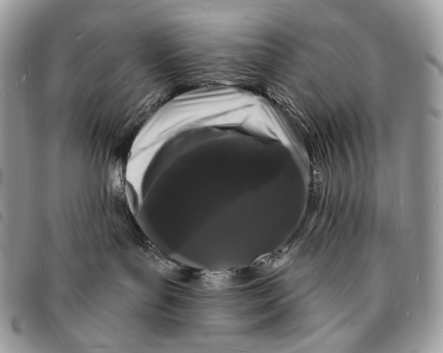 X0000096390143200802141504