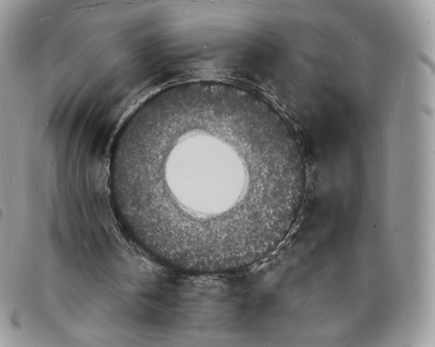 X0000096390146200802141503