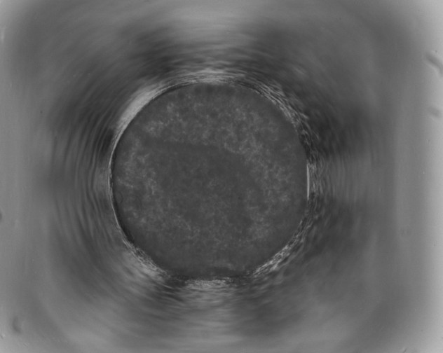 X0000096390147200802141503