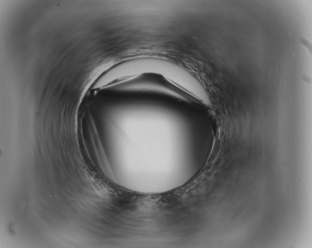 X0000096390148200802141503