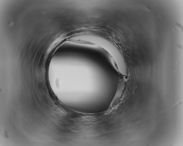 X0000096390150200802141503