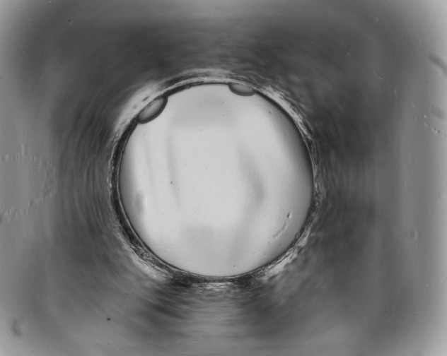 X0000096390151200802141503