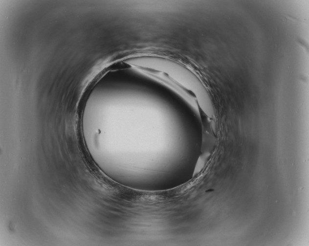 X0000096390152200802141503
