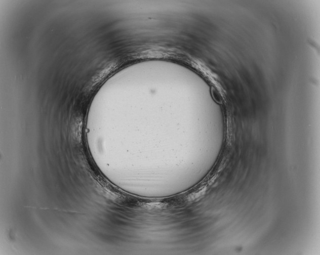 X0000096390153200802141503