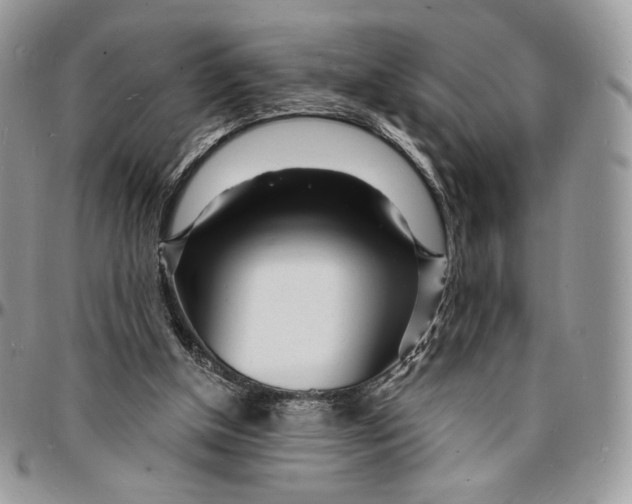 X0000096390154200802141503