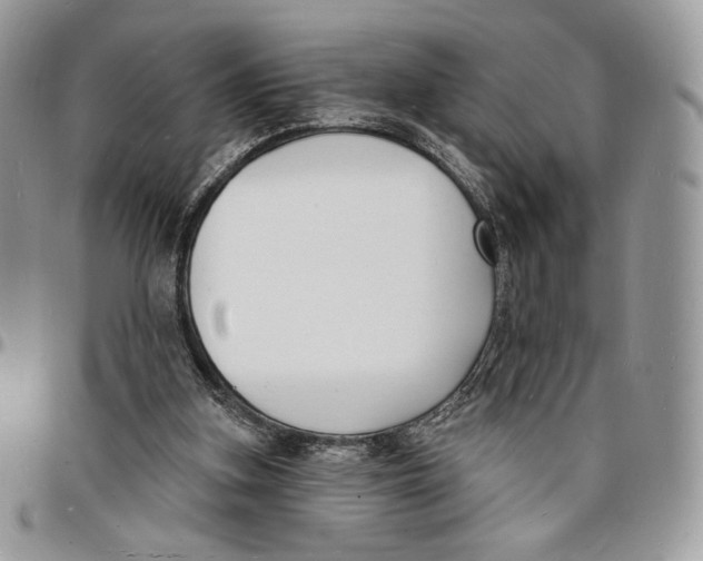 X0000096390155200802141503