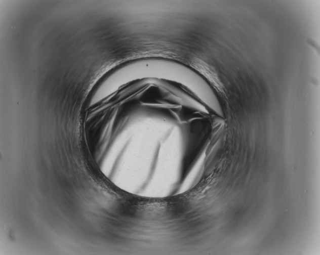 X0000096390156200802141503