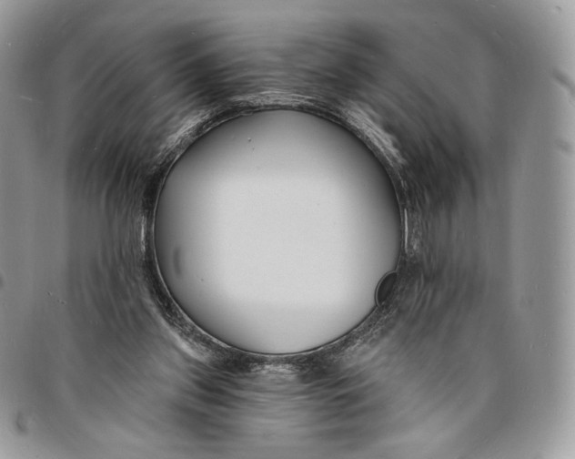 X0000096390157200802141503