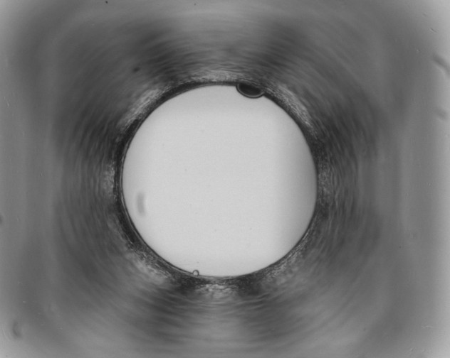 X0000096390159200802141503
