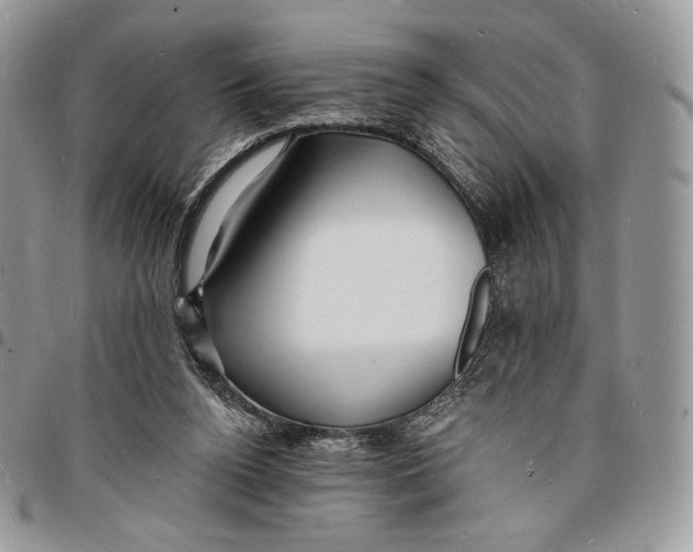 X0000096390160200802141503