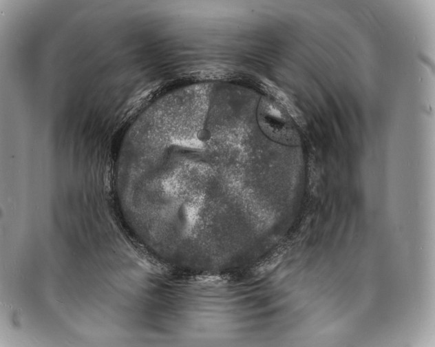 X0000096390161200802141503