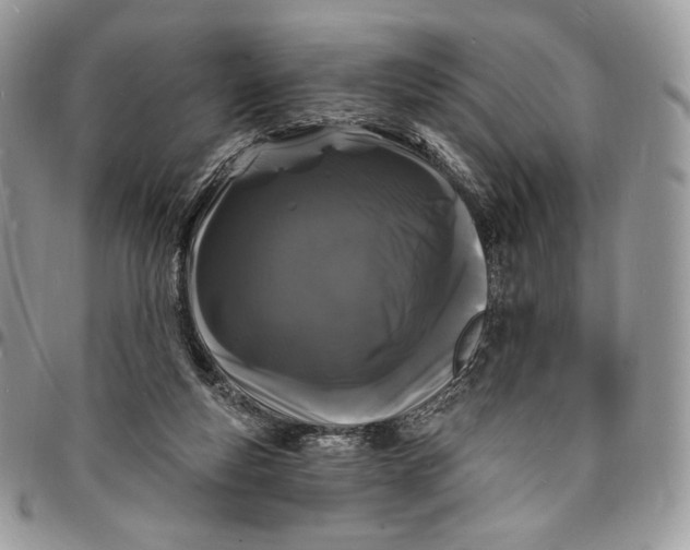 X0000096390163200802141503