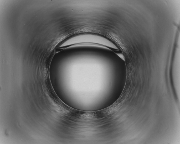 X0000096390164200802141503