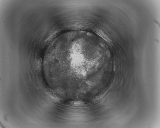 X0000096390165200802141503
