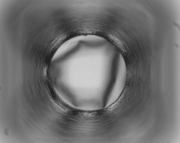 X0000096390166200802141503