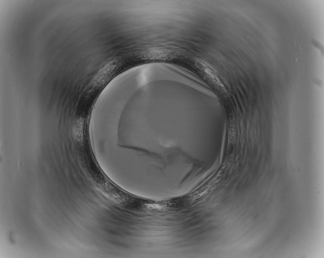 X0000096390167200802141503
