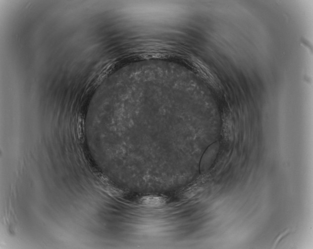 X0000096390169200802141503