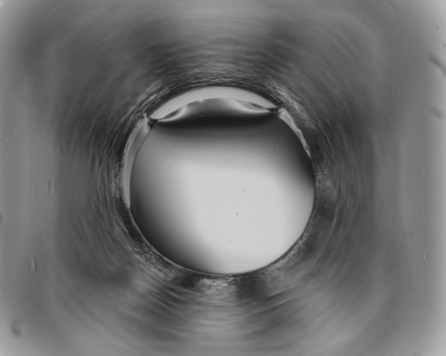 X0000096390170200802141503