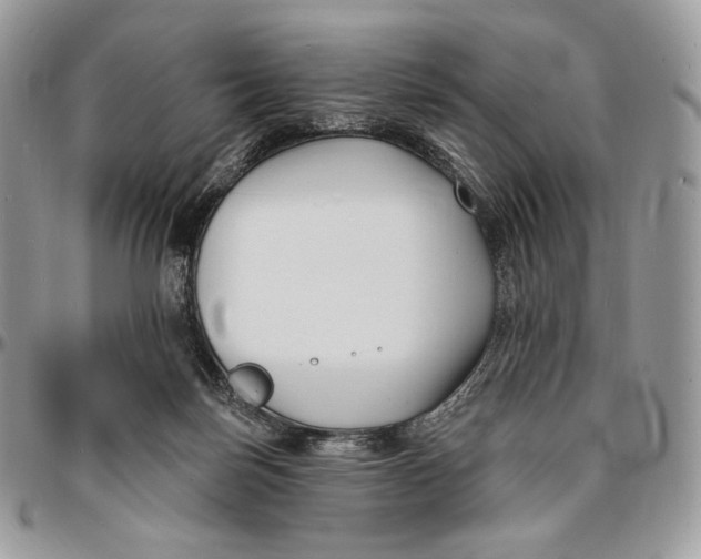 X0000096390171200802141503