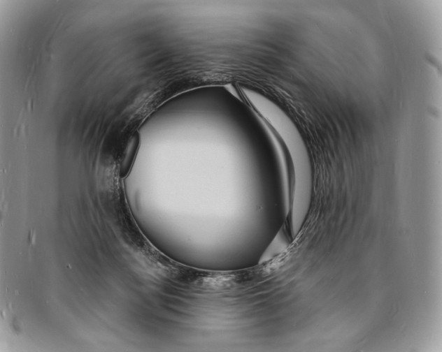 X0000096390172200802141503