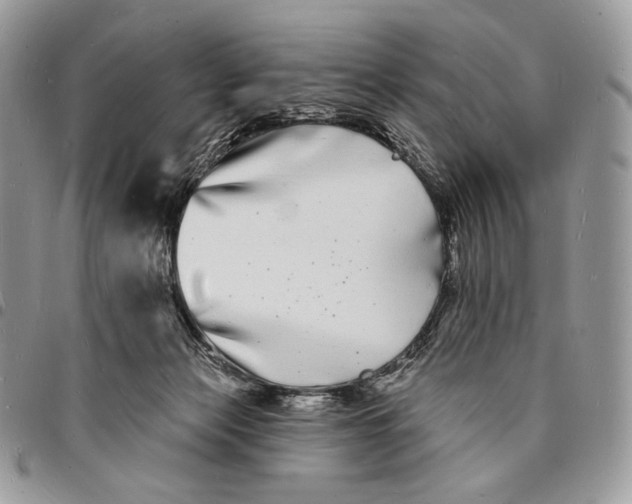 X0000096390173200802141504
