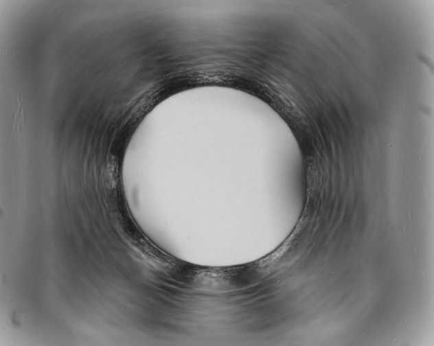 X0000096390174200802141504