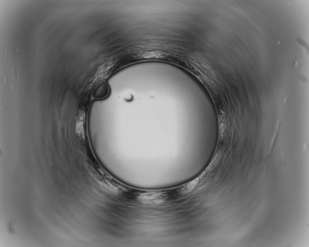 X0000096390175200802141504