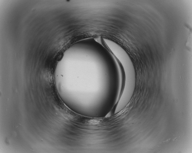 X0000096390176200802141504