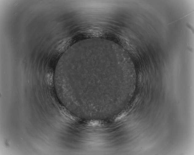 X0000096390177200802141504