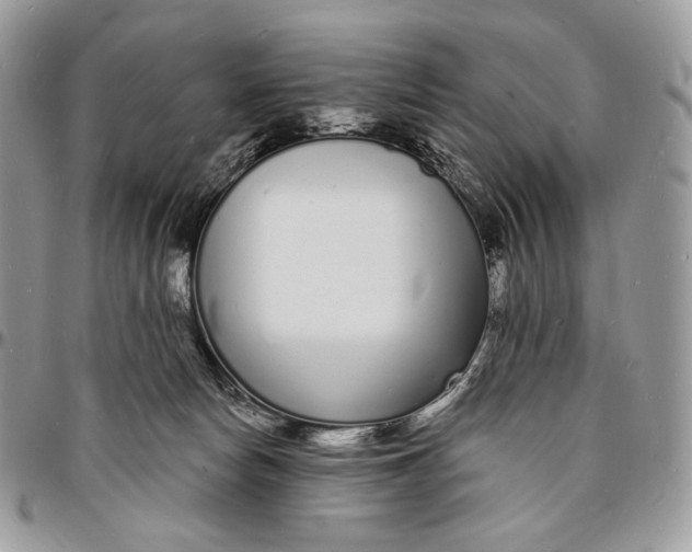 X0000096390178200802141504