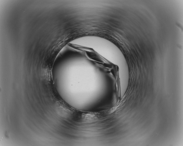 X0000096390180200802141504