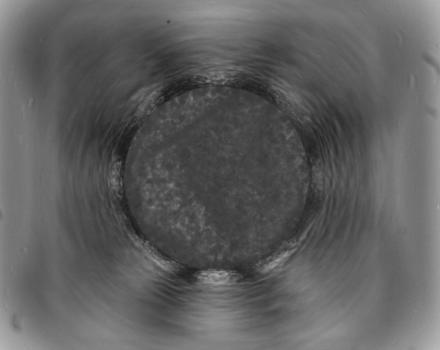 X0000096390181200802141504