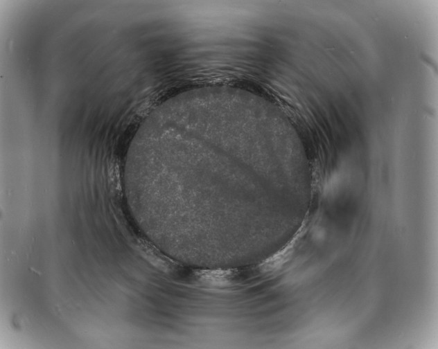 X0000096390182200802141504