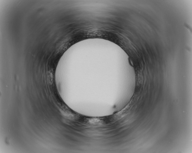X0000096390183200802141504