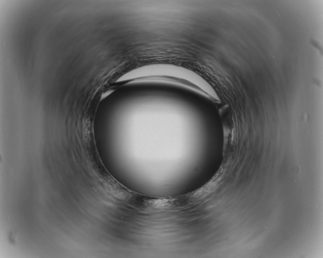X0000096390184200802141504