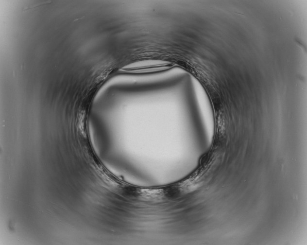 X0000096390185200802141504