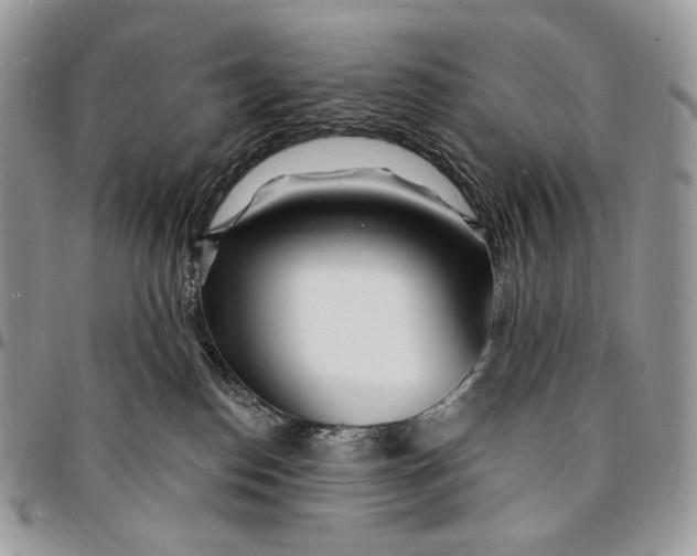X0000096390186200802141504