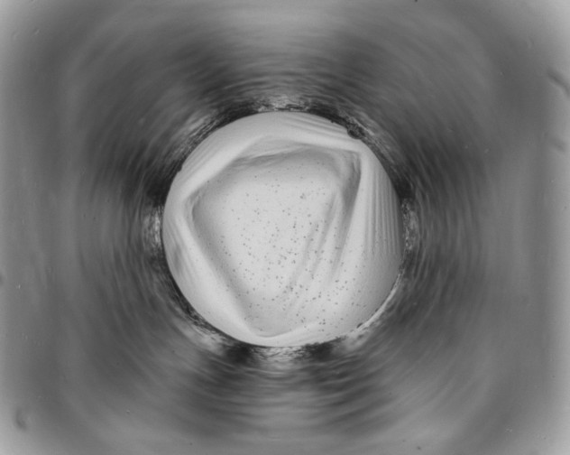 X0000096390191200802141504